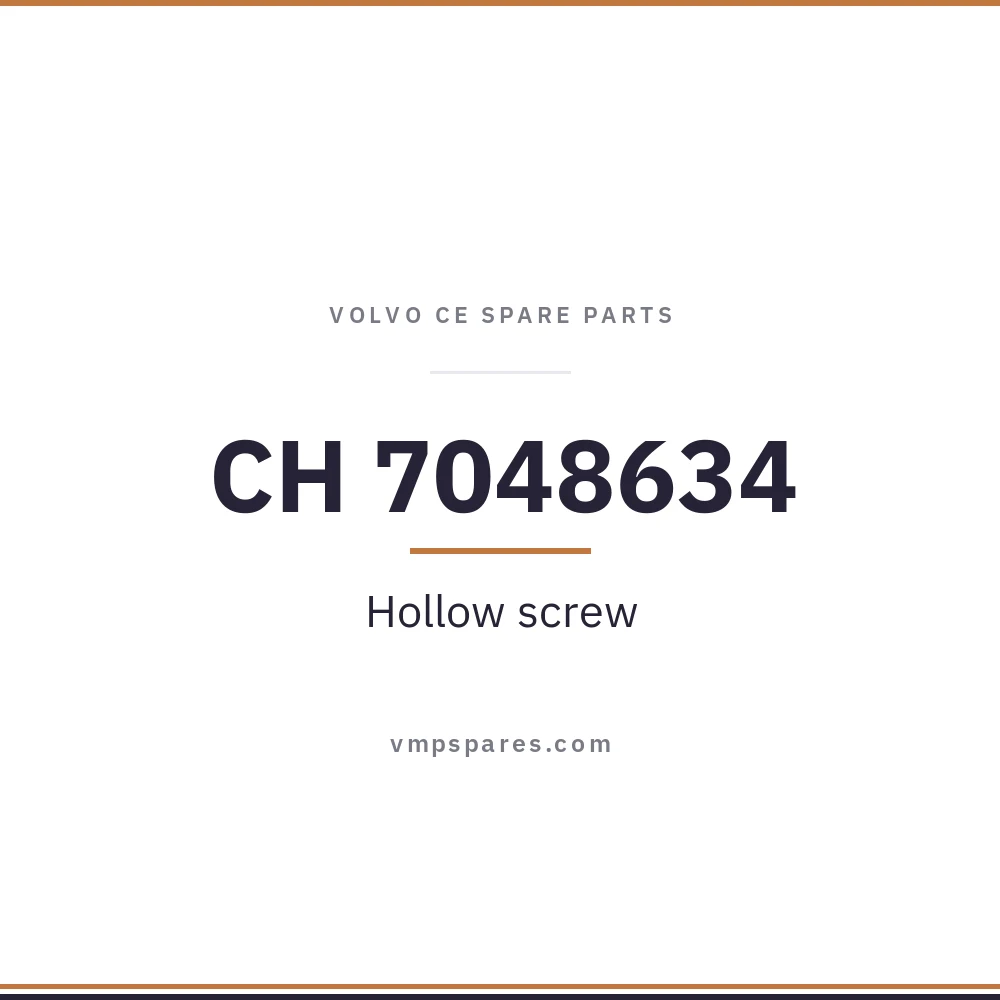 CH 7048634 – Hollow screw