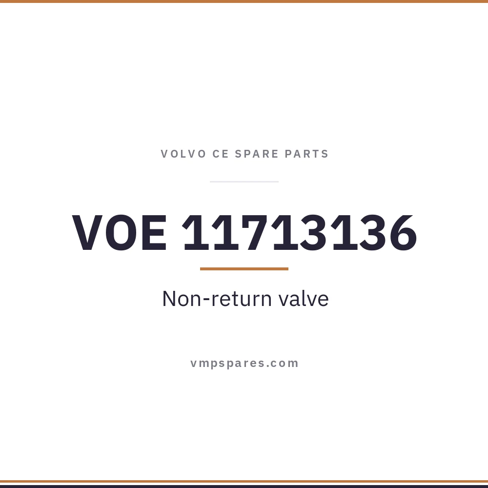 VOE 11713136 – Non-return valve