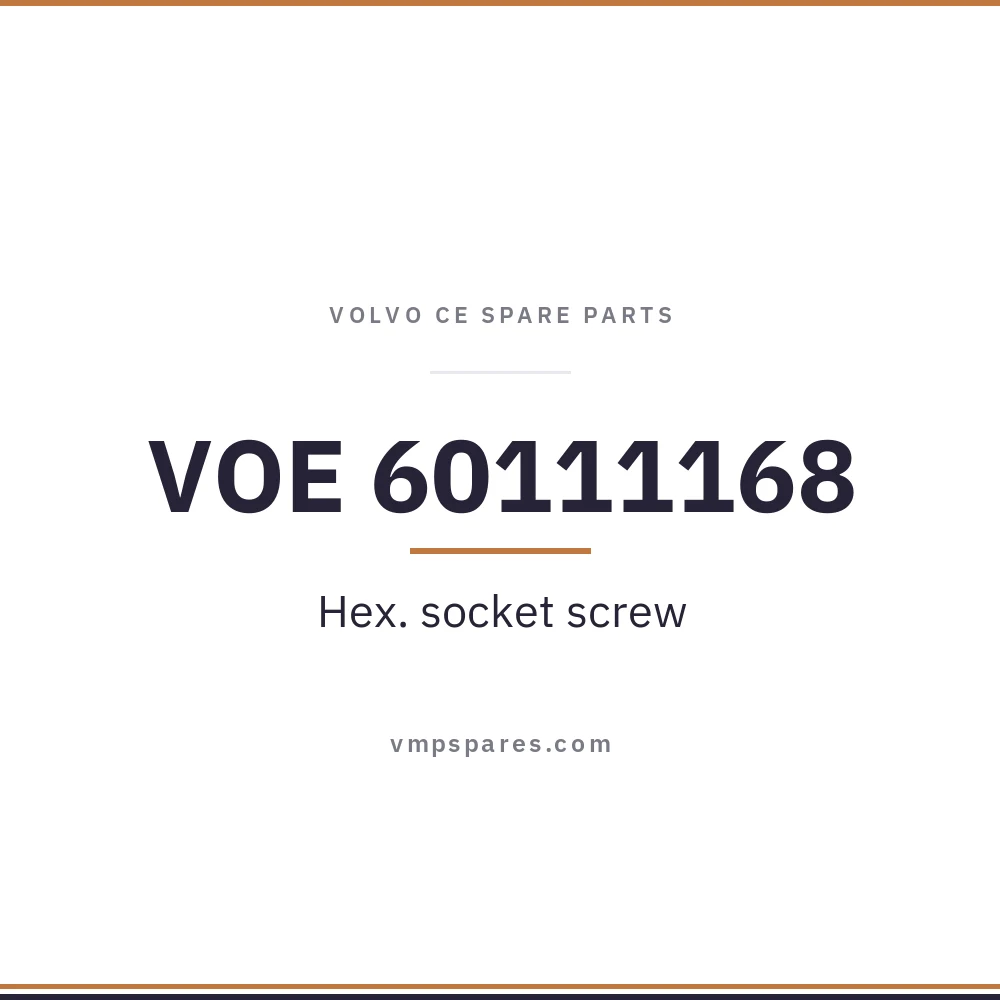 VOE 60111168 – Hex. socket screw