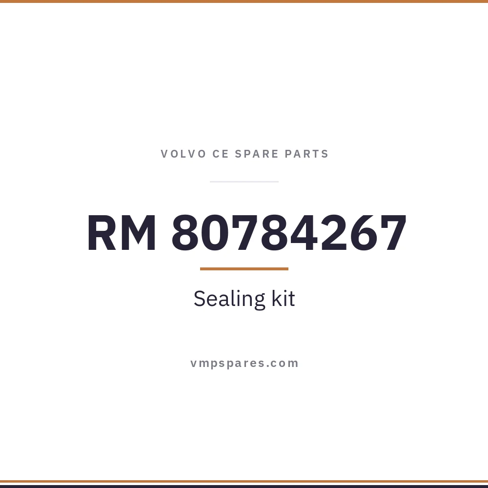 RM 80784267 – Sealing kit