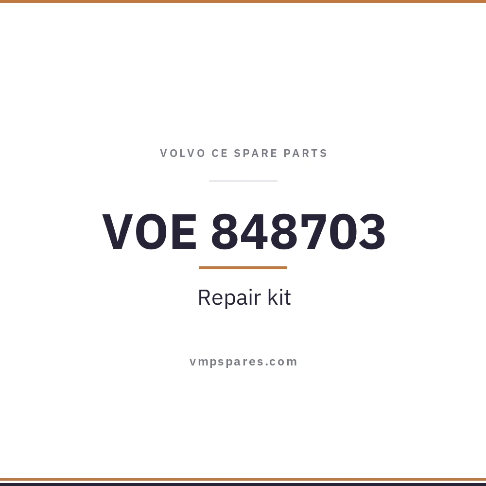 VOE 848703 – Repair kit