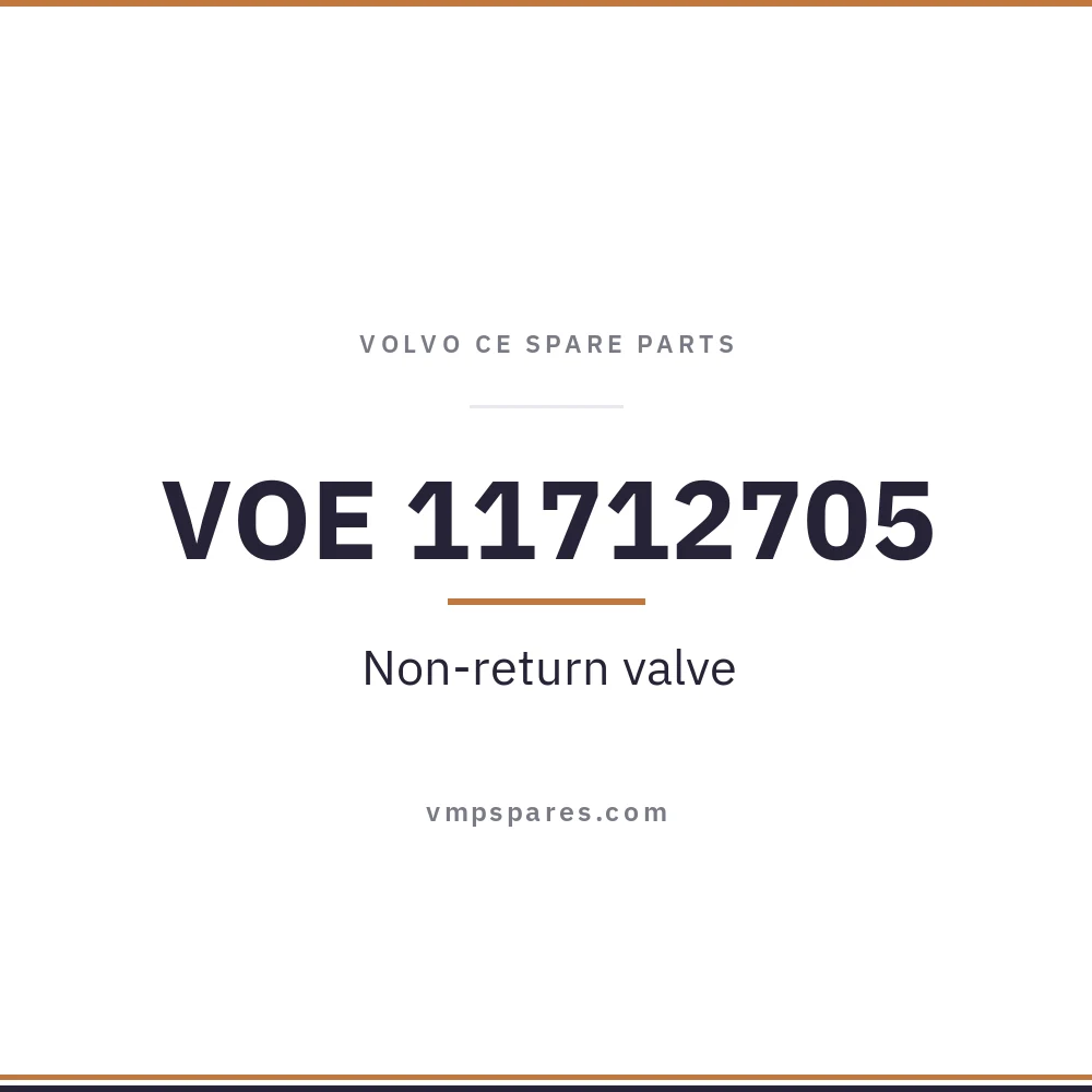 VOE 11712705 – Non-return valve