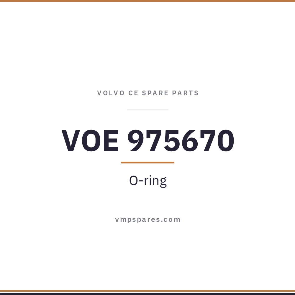 VOE 975670 – O-ring