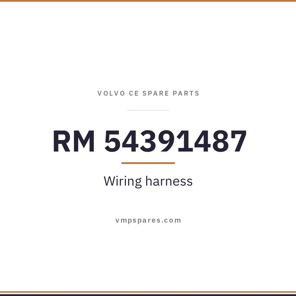 RM 54391487 – Wiring harness