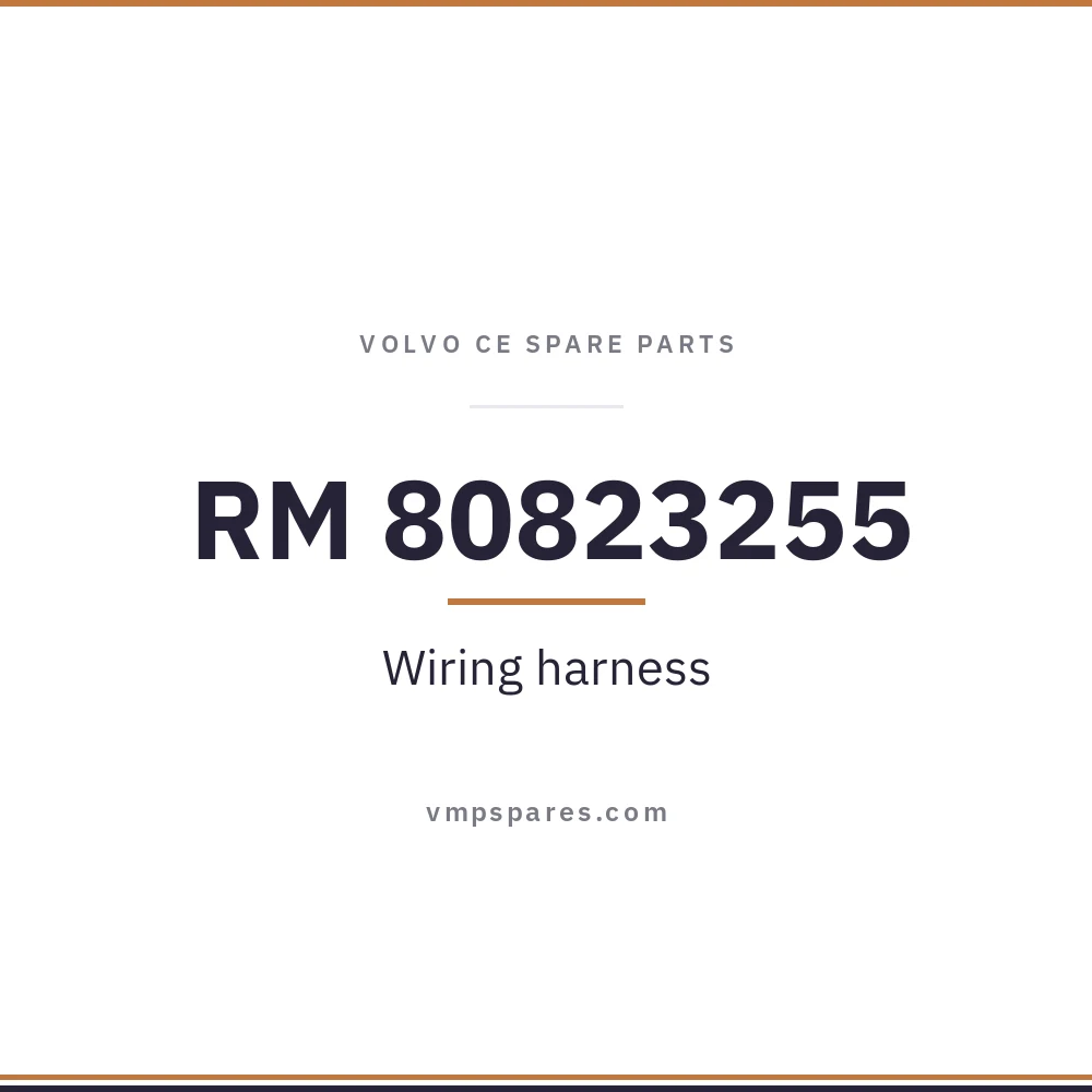 RM 80823255 – Wiring harness