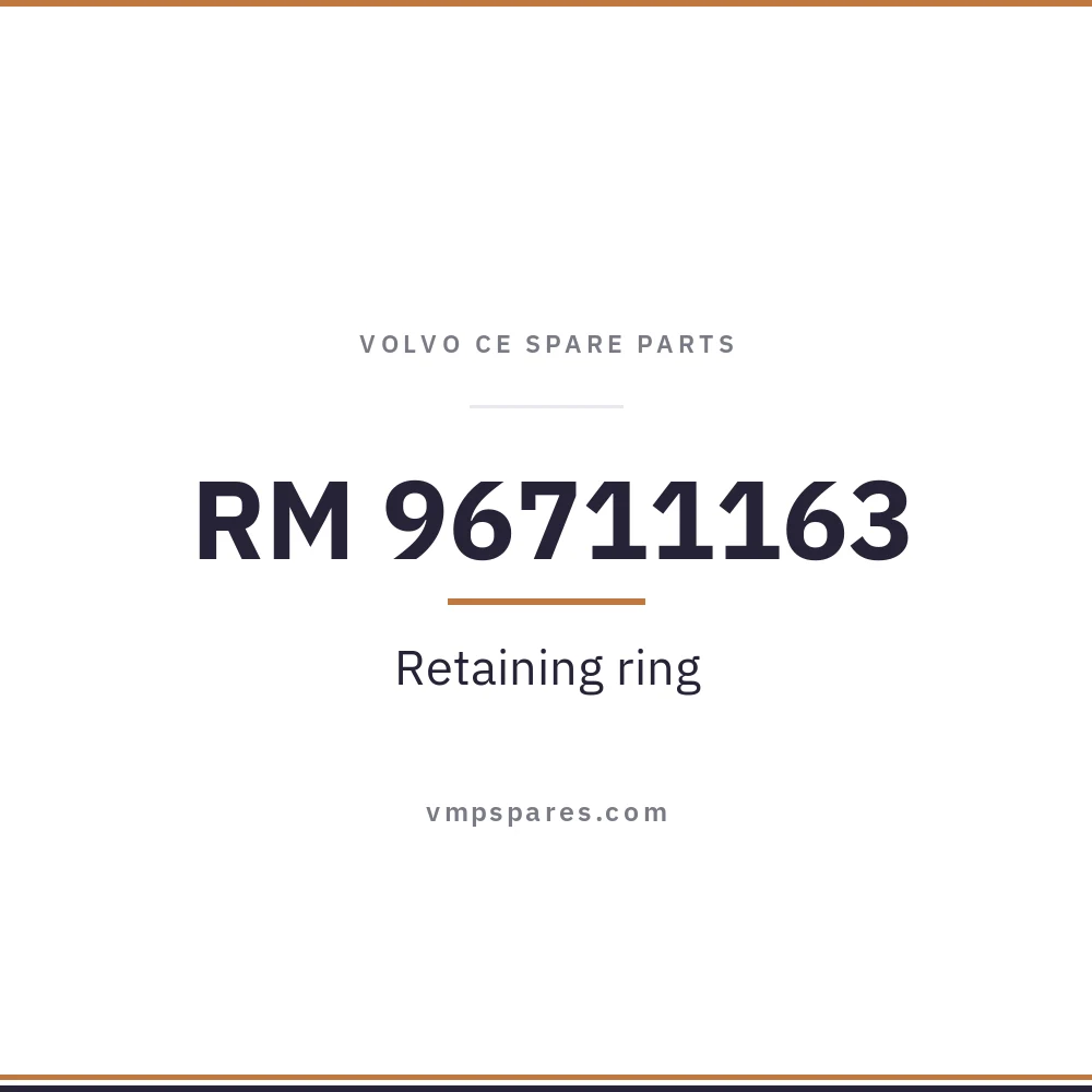 RM 96711163 – Retaining ring
