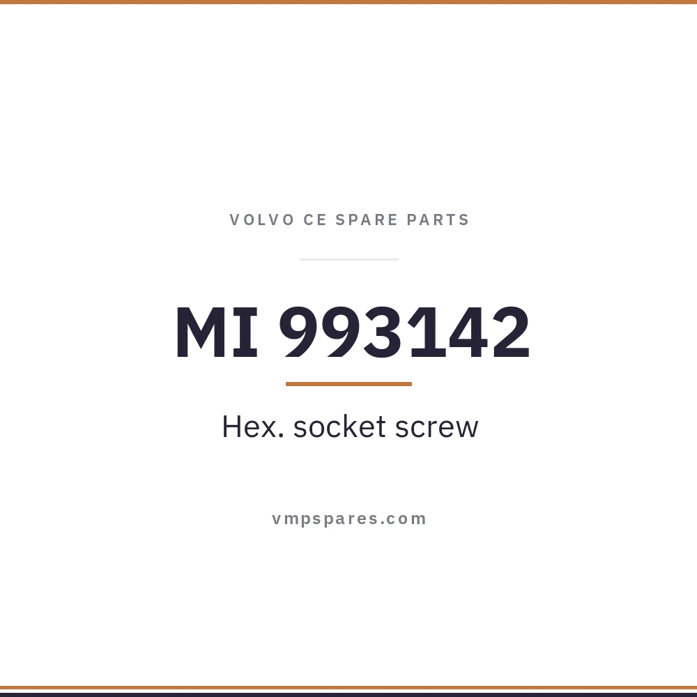 MI 993142 – Hex. socket screw