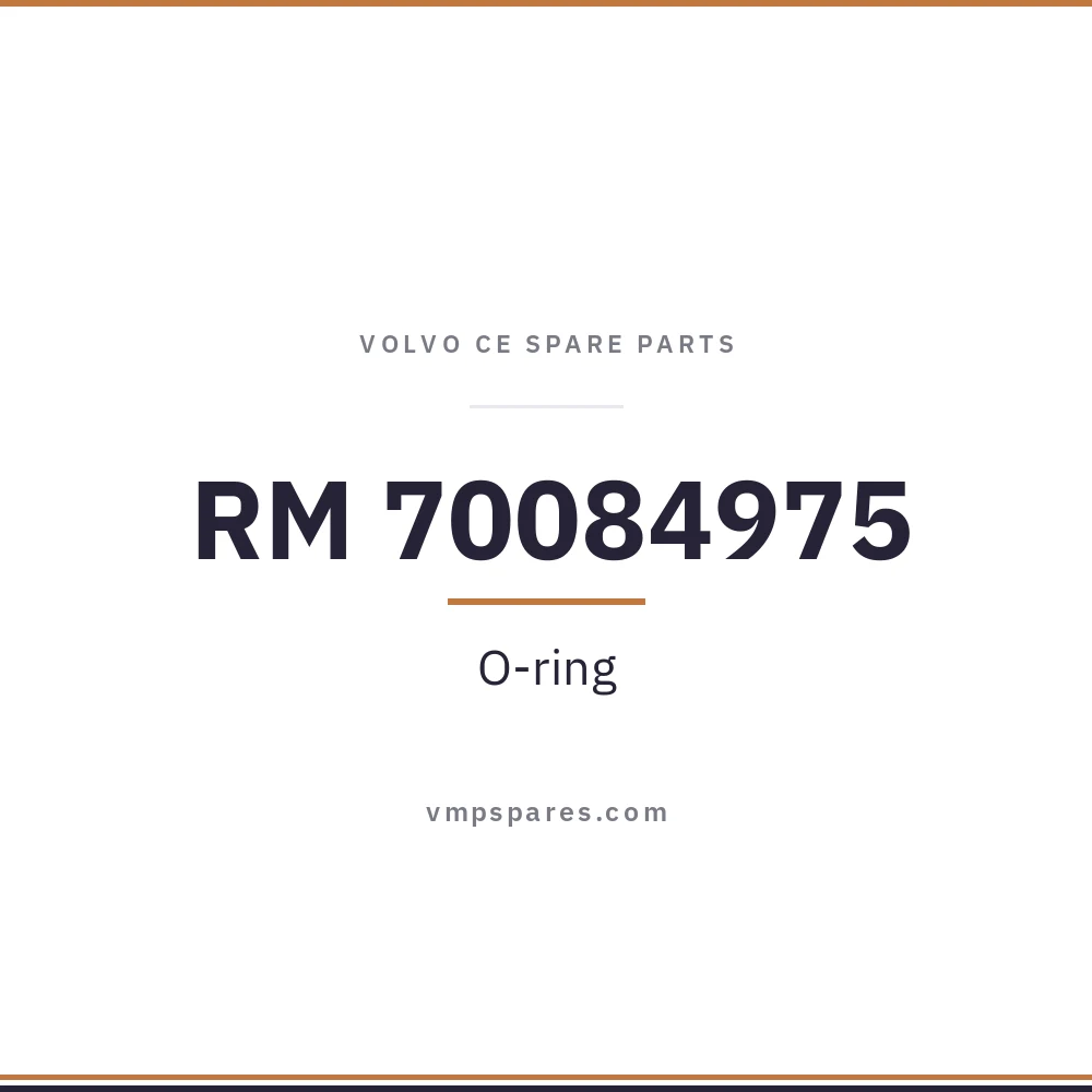 RM 70084975 – O-ring