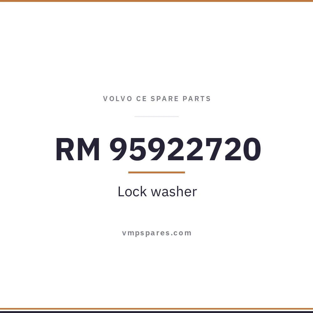 RM 95922720 – Lock washer
