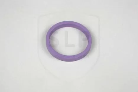 20570444 - SR-444 SEALING RING