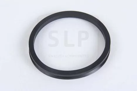 947119 - SR-119 SEALING RING