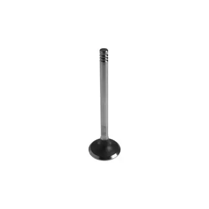 VMPG-101899 - VOE 21026536 - Exhaust valve | VMP Spares