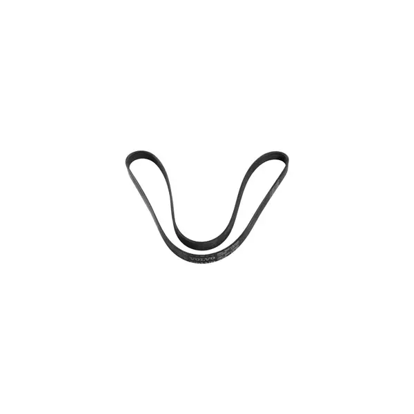 VMPG-185074 - VOE 17418262 - V-ribbed Belt | VMP Spares