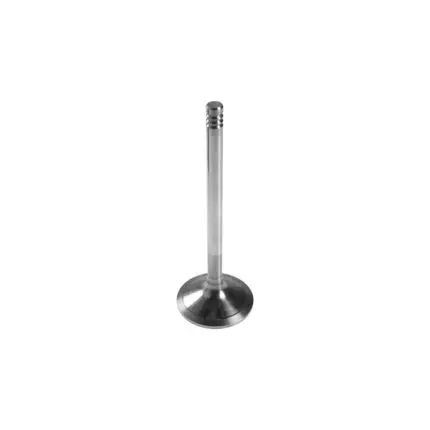 VMPG-215939 - VOE 21896344 - Valve | VMP Spares