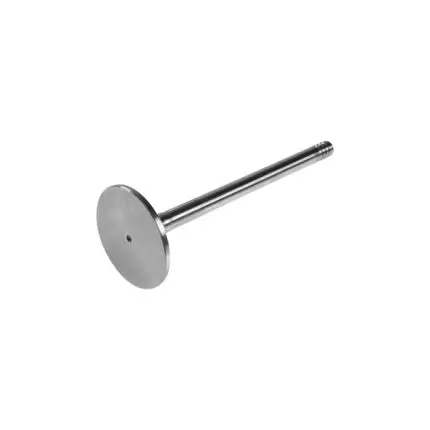 VMPG-215939 - VOE 21896344 - Valve | VMP Spares