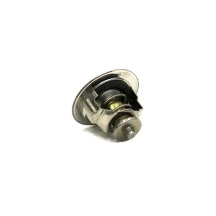 VMPG-297748 - VOE 16677821 - Thermostat | VMP Spares
