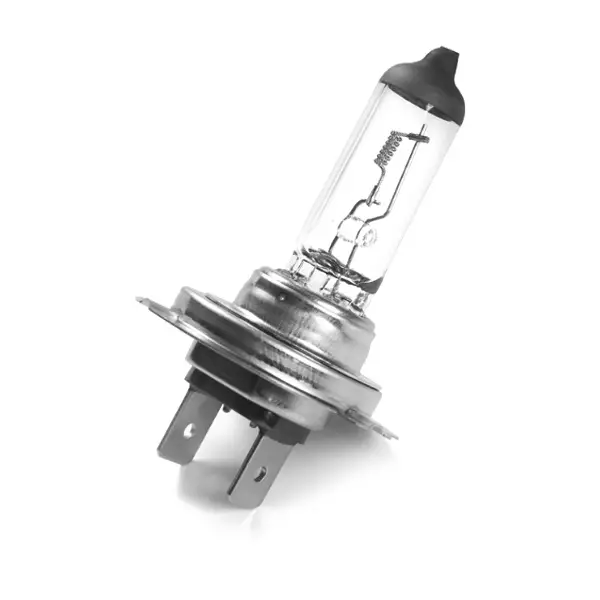 VMPG-173590 - 1987302863 Bulb BOSCH | VMP Spares