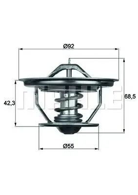 VMPG-28018 - TX3571 Thermostat MAHLE-TRM | VMP Spares